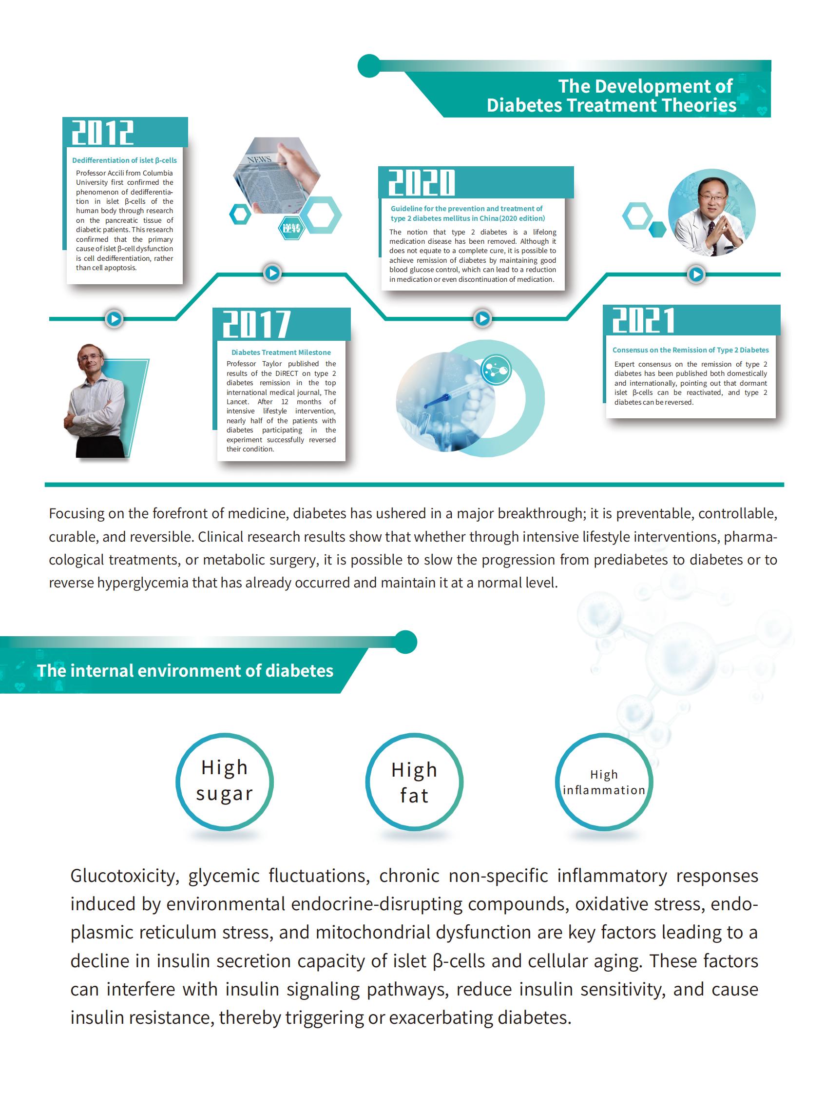 Diabetes -Behandlungstheorie