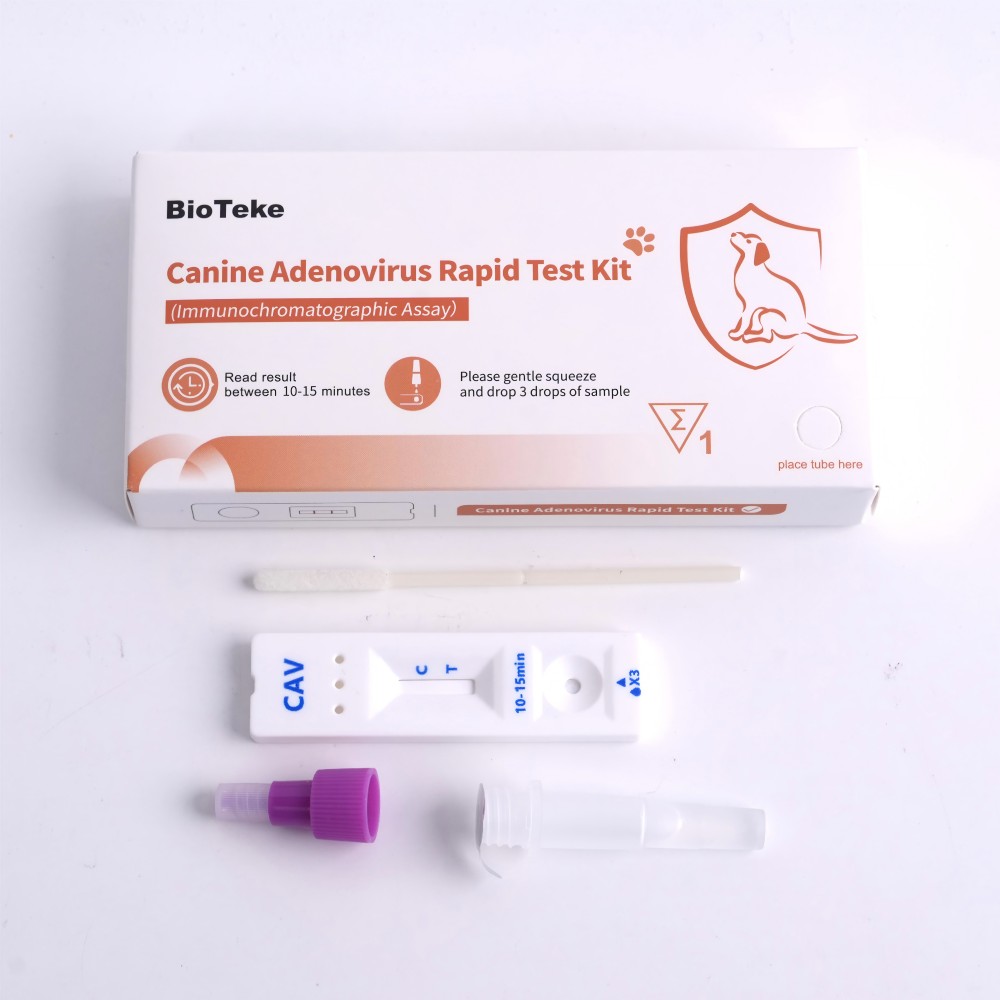 Hunde -Adenovirus -Testkit 