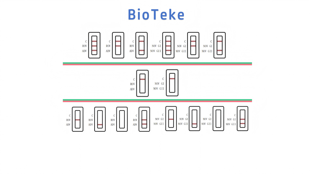 Rota-Adeno-Noro-Virus-Testergebnisse