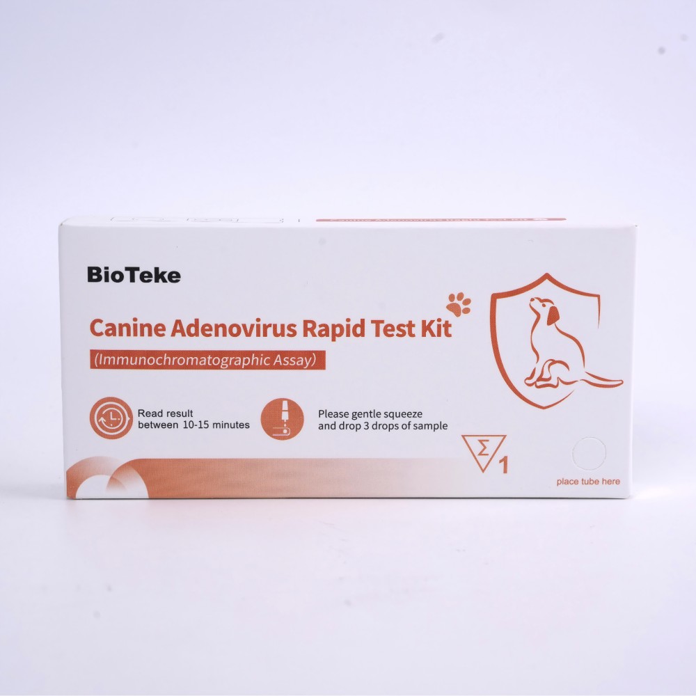 Hunde -Adenovirus -Testkit 