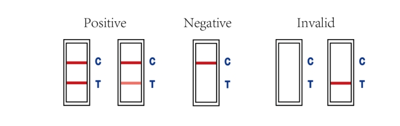 Interpretation von Testergebnissen