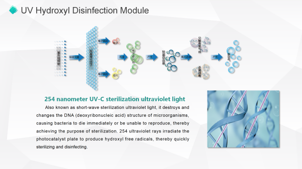 UV-Hydroxylsterilisation mit zwei Banden