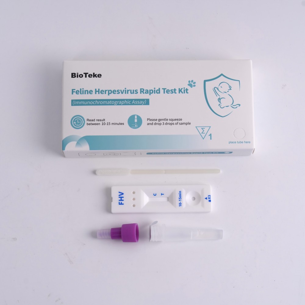 Katzen -Herpesvirus -Test